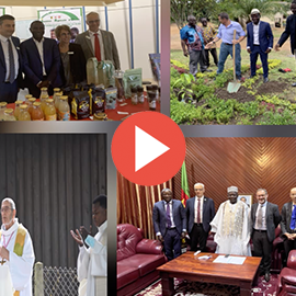 L&rsquo;Institut Agricole d&rsquo;Obala (IAO), « Un rêve devenu réalité grâce à la coopération de la RCJU »