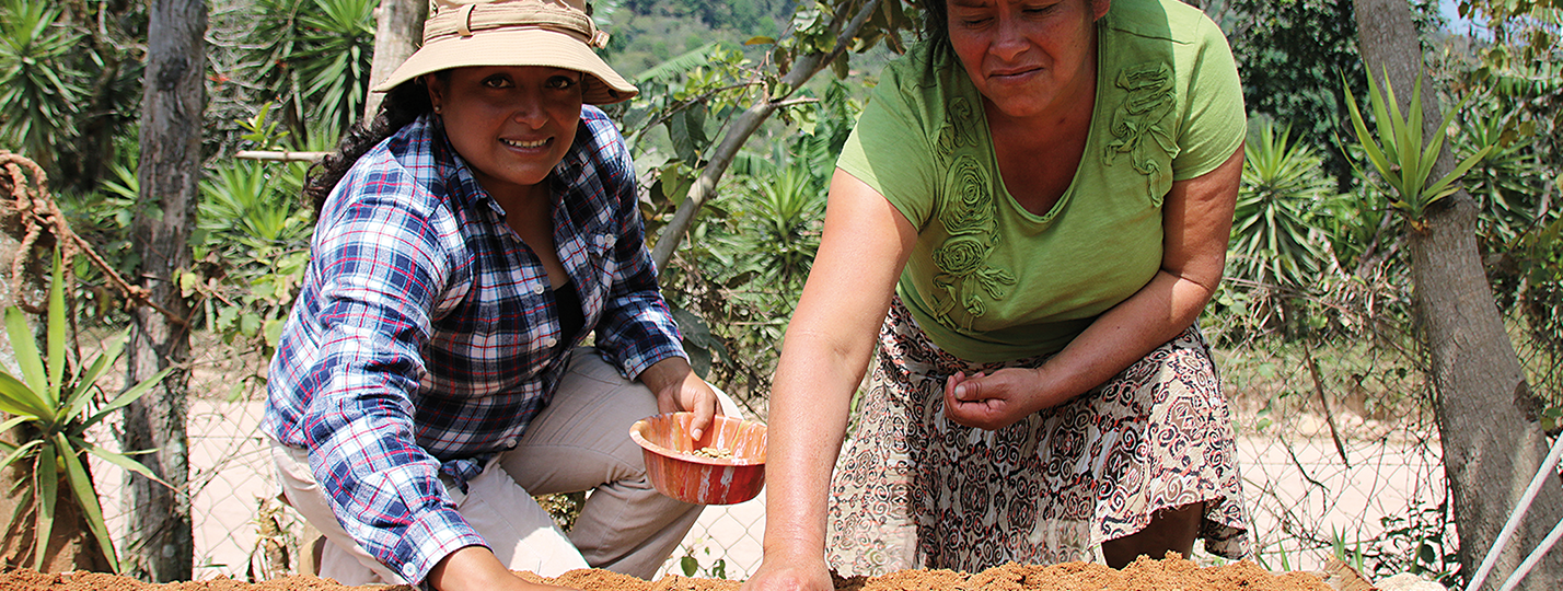 Le bilan carbone : pas toujours évident