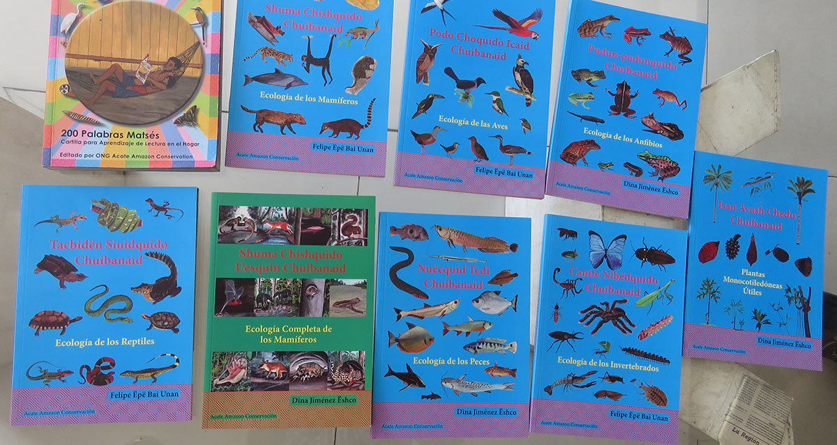 Retour sur… Alphabétisation et transmission intergénérationnelle des savoirs écologiques du peuple matses