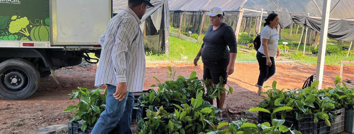 Diaspora et coopération au développement